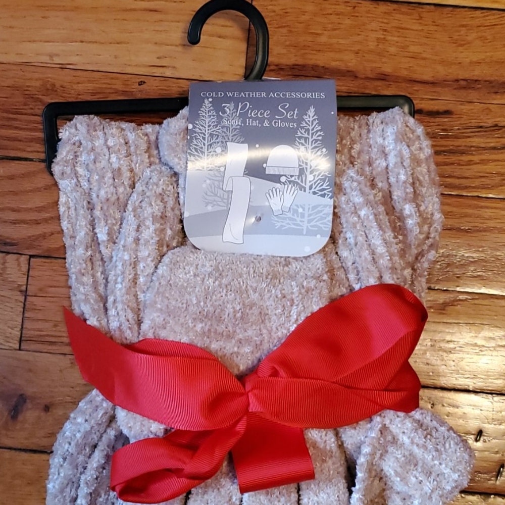 3 Piece Scarf, Hat, Gloves Set